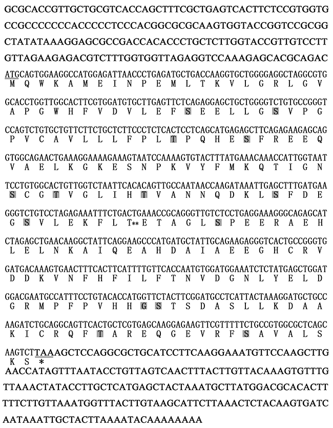 Characterization of amino acid sequences and cDNA nucleotide sequences of CGS UCHL1.