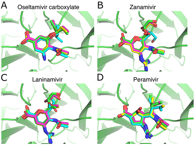 Comparison of the NA inhibitor binding conformations predicted with the docking softwaretools and their corresponding crystal structures.