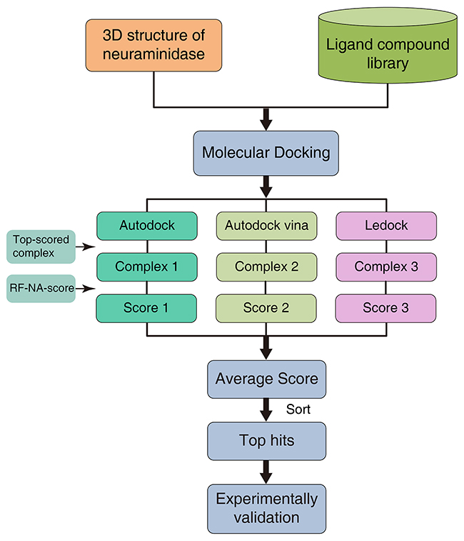 Virtual screening strategy using molecular docking software and RF-NA-Score.