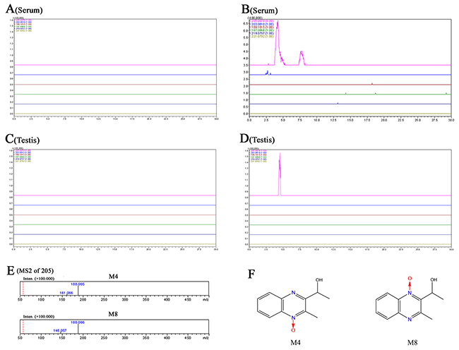 Accurate EICs of the prototype and metabolites of MEQ in the serum and testes of male mice by LC/MS-IT-TOF analysis.