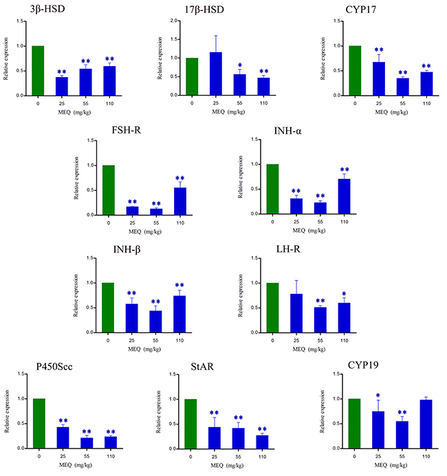 Alterations in 3&#x03B2;-HSD, 17&#x03B2;-HSD, CYP17, FSH-R, INH-&#x03B1;, INH-&#x03B2; B, LH-R, P450Scc, StAR, and CYP19 expression in mouse testes after the administration of MEQ for 18 months.