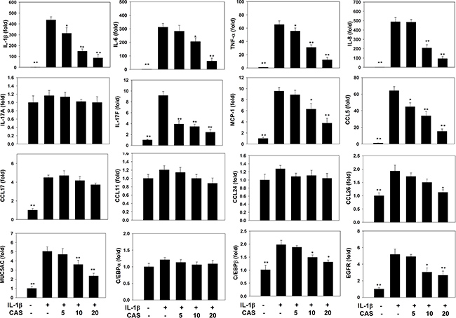 Effects of casticin (CAS) on IL-1&#x03B2;&#x2013;induced gene expression.