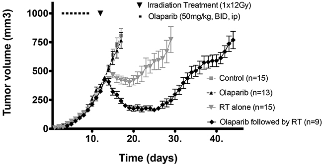 Growth curves of mice treated with vehicle (grey square), Olaparib alone (6-7 days, 50mg/kg, BID, i. p.) (black triangle), radiotherapy (RT) (grey triangle) alone (1 X 12 Gy) and Olaparib (6-7 days, 50mg/kg, BID, i.p.) followed by RT (1 X 12 Gy) (black diamond).