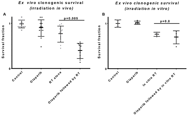 Influence of the tumor microenvironment on radiation response.