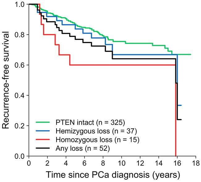 Loss of PTEN in relation to recurrence-free survival in the radical prostatectomy cohort.