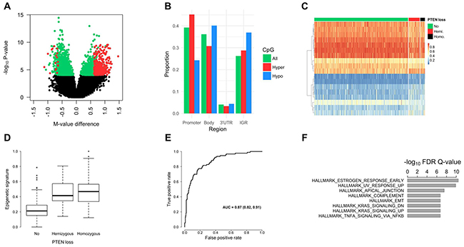 Prostate tumor DNA methylation profiles by PTEN status.