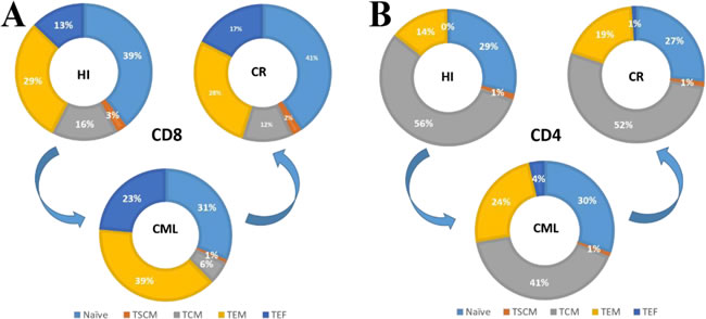 Pie charts summarize the distribution changes in the CD4 and CD8 T cell subsets.