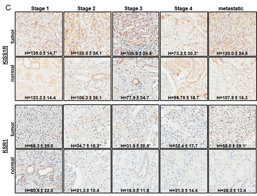 fig3c