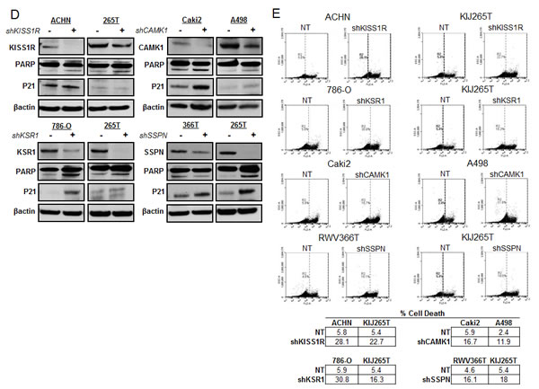 fig4b