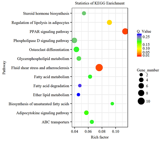 KEGG pathway analysis of differentially expressed genes.