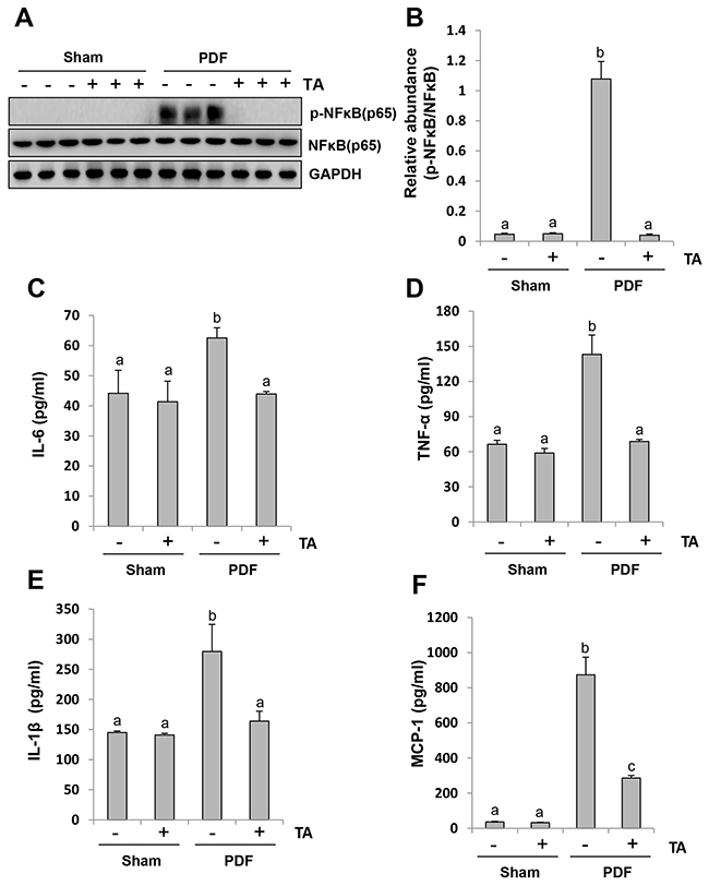 Inhibition of HDAC6 blocks activation of NF-&#x03BA;B signaling pathway and suppresses release of multiple inflammatory cytokines and chemokines.