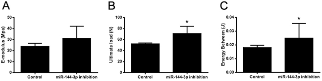 Bone healing property was enhanced by miR-144-3p inhibitor therapy.