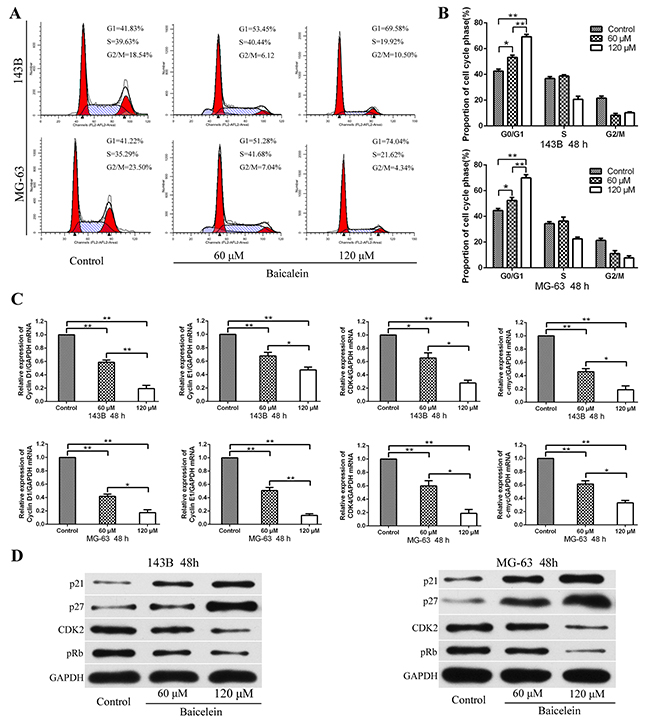 Baicalein induces G1 phase arrest of osteosarcoma cells.