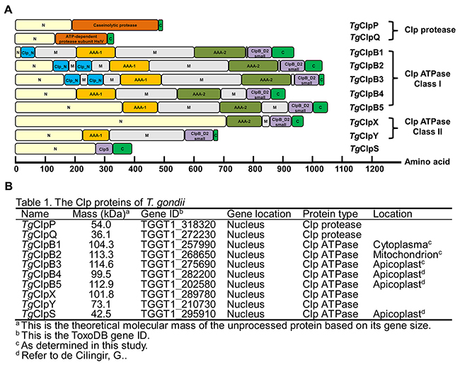 Figure 1: