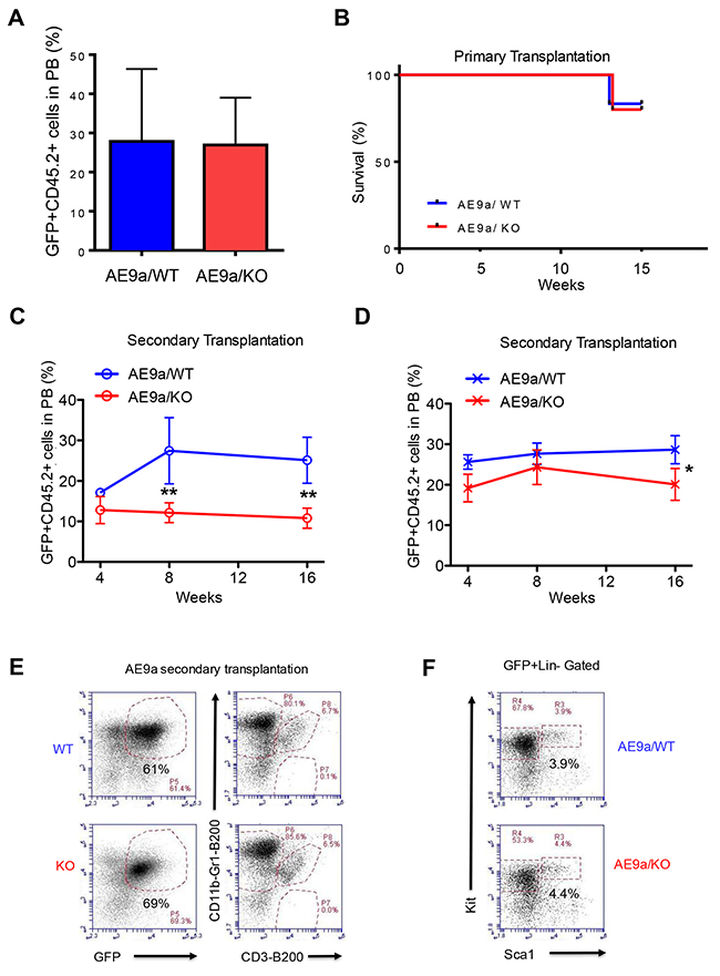 Necdin deficiency decreases the repopulating potential of hematopoietic stem and progenitor cells expressing AML1-ETO9a.