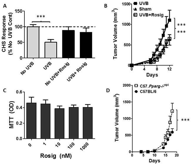 Rosiglitazone (Rosig) reverses UVB-induced immunosuppression and UVB-induced B16F10 tumor growth while intradermal B16F10 tumor growth is increased in mice lacking epidermal Pparg.