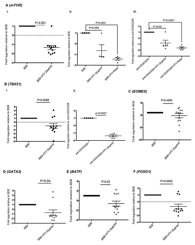 Atorvastatin-treated T cells express reduced levels of mTOR, T-bet, GATA3, BATF and FOXO1.