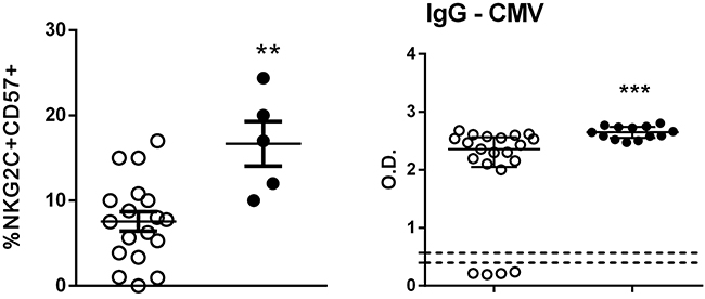 Determination of CD57+NKG2C+ NK cells.