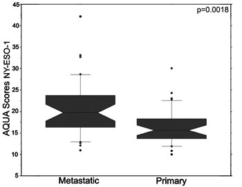 NY-ESO-1 expression in matched primary and metastatic specimens.