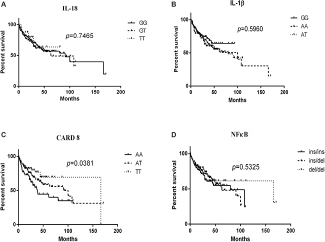 Kaplan-Meier curves of IL-18 (rs1946518), IL-1&#x03B2; (rs16944), CARD8 (rs2043211) and NF&#x03BA;B-94 ins/del ATTG genotypes in lymphoma patients.