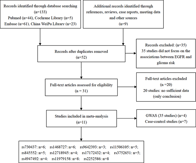 Flow chart showing the process of selection.