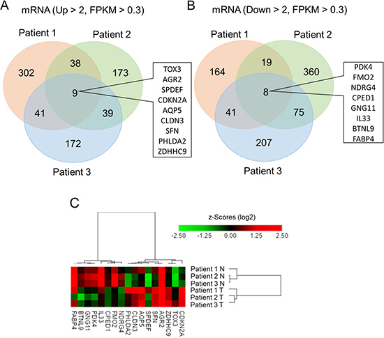 Identification of differentially expressed genes in lung adenocarcinoma compared to adjacent normal tissue using next-generation sequencing.