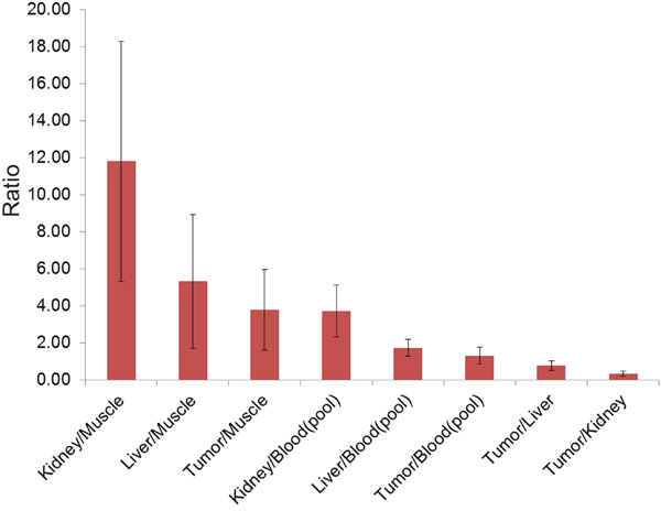 Diagram showing the results of ex vivo biodistribution (mean K/MBio-, L/MBio-, T/MBio-, K/BBio-, L/BBio-, T/BBio-, T/LBio-, T/KBio-ratio, including standard deviation) of [68Ga]Pentixafor with a high K/MBio-, and L/MBio-ratio due to high urinary excretion and liver metabolism.