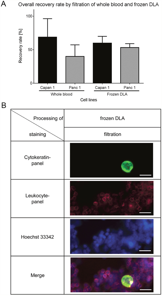 Recovery rates by filtration of spiked cells in frozen DLA.