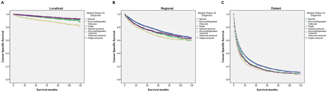 Survival curves in kidney cancer patients on CSS according to marital status in different SEER stages.