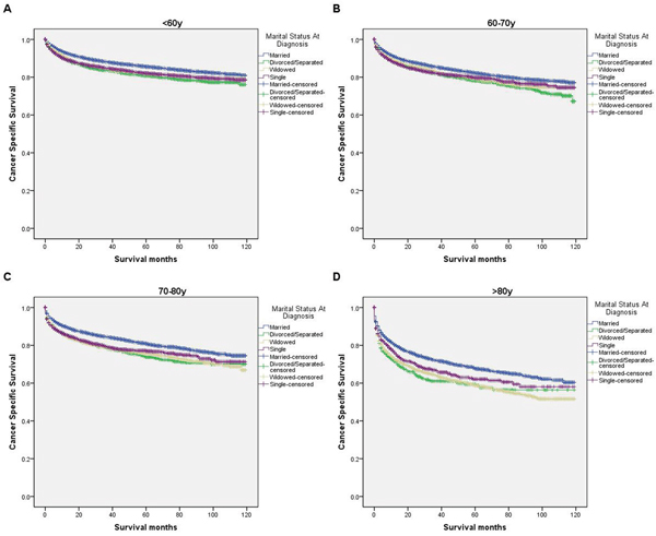 Survival curves in kidney cancer patients on CSS according to marital status in ages.