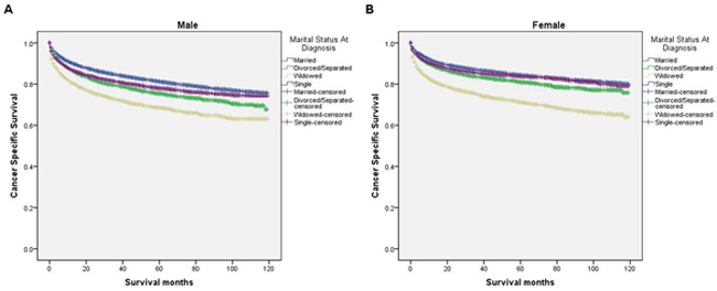 Survival curves in kidney cancer patients on CSS according to marital status in different sexes.