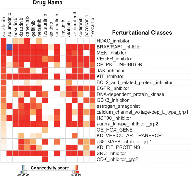 CMap analysis comparing drug connections with sorafenib and other protein kinase inhibitors.