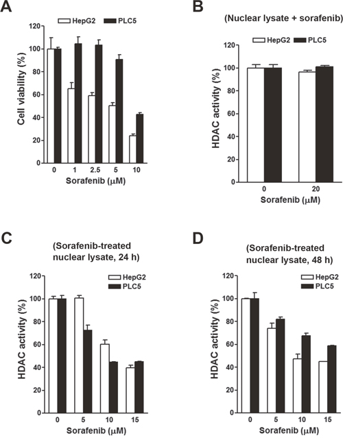 Effects of sorafenib on the cell viability and histone deacetylase (HDAC) activity in HepG2 and PLC5 cells.