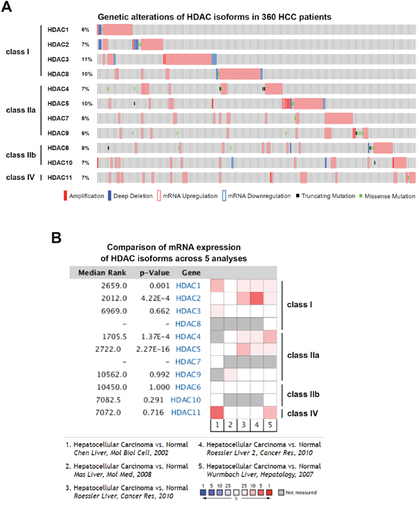 Cancer genomics and Oncomine analysis of genetic alterations of histone deacetylases (HDACs).