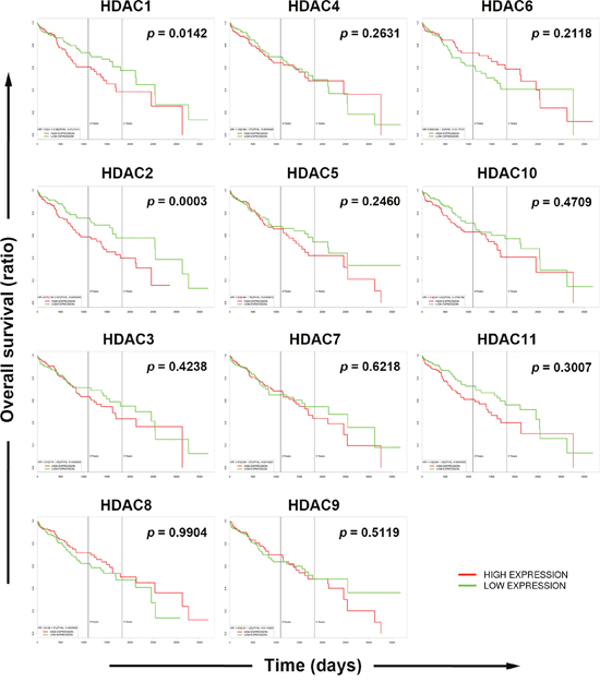 Role of each histone deacetylase (HDAC) isoform in the overall survival of hepatocellular carcinoma (HCC) patients.