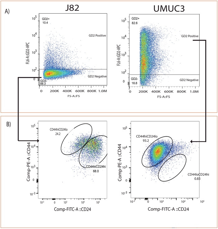 GD2 identifies CD44hiCD24lo in bladder cancer cells.