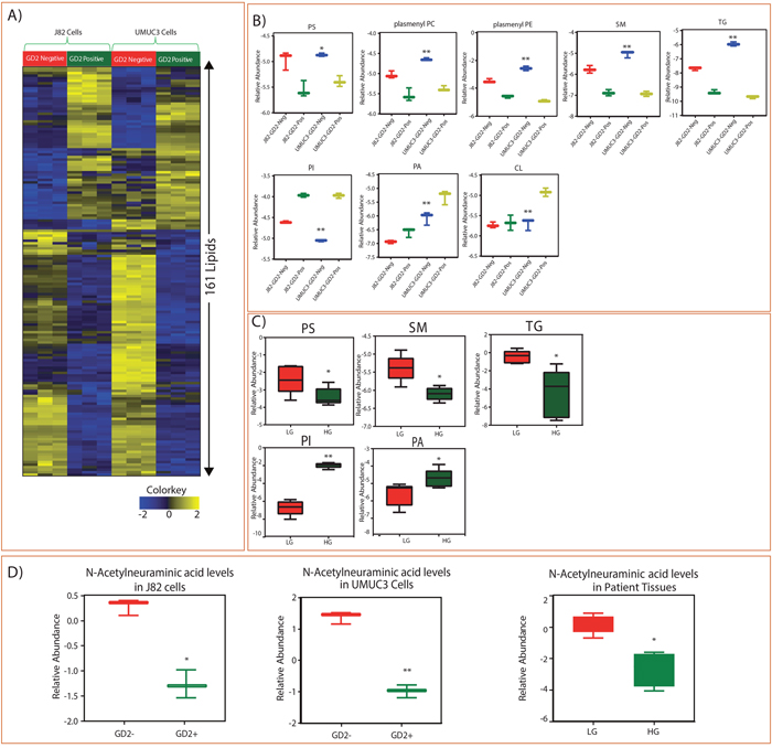 Identified lipid class alterations in GD2 +/- BLCA cell lines (J82 and UMUC3) and BLCA tissues.