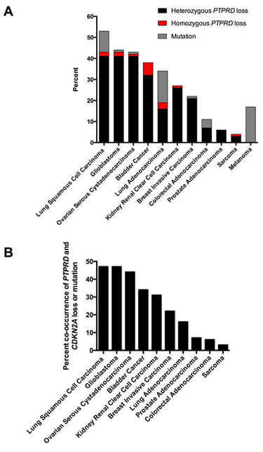 Genetic patterns of