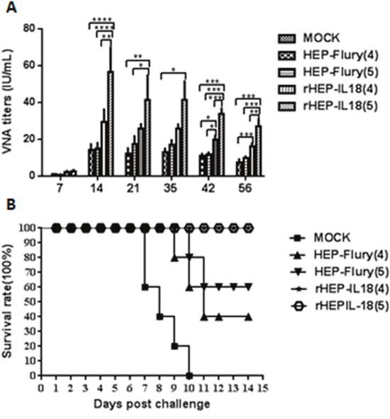 VNA titers and protection of rHEP-IL18 in mice.