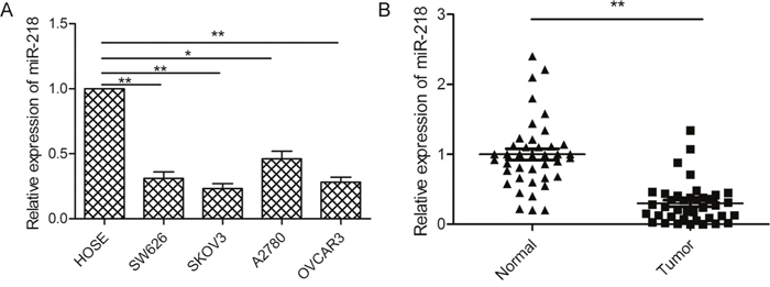 miR-218 expression was downregulated in ovarian cancer cell lines and tissues.