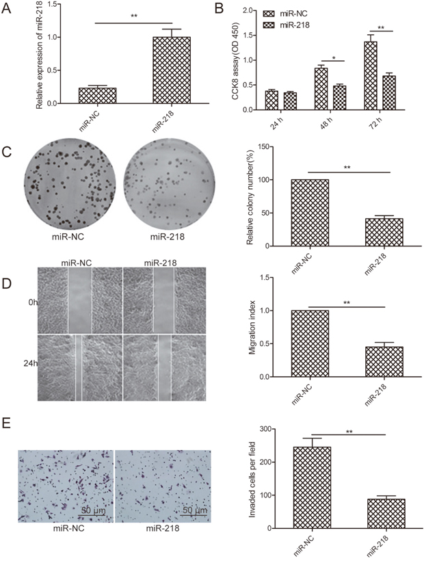MiR-218 inhibits cell proliferation, colony formation, migration, and invasion of ovarian cancer cells.