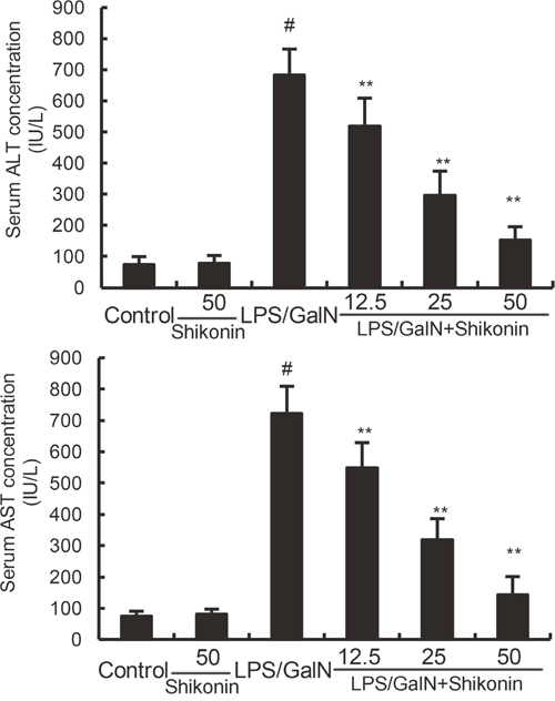 Effects of shikonin on serum ALT and AST levels.