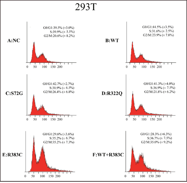 Flow cytometric analysis of 293T cells transfected with the CDC20 mutant.