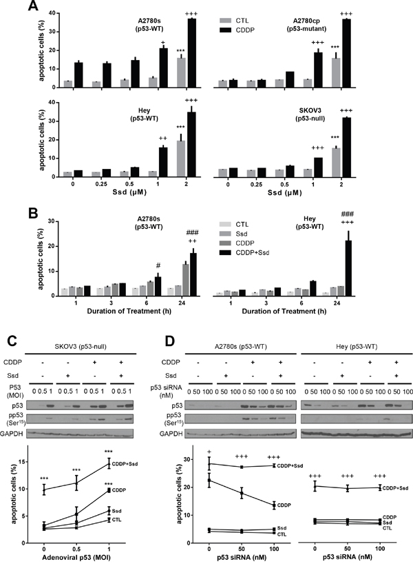 Ssd-induced apoptosis and sensitization of OVCA cells to CDDP in p53-independent manner.