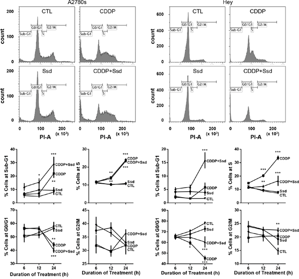 CDDP with Ssd induced G2/M arrest.