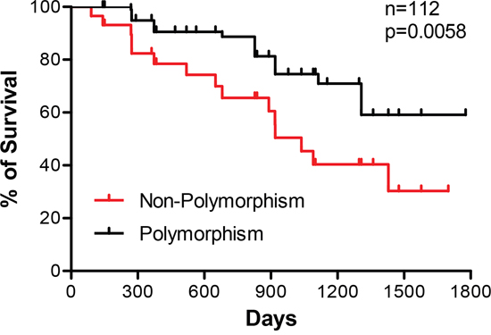 Correlation of microsatellite polymorphisms with disease-free survival of colorectal cancer patients.