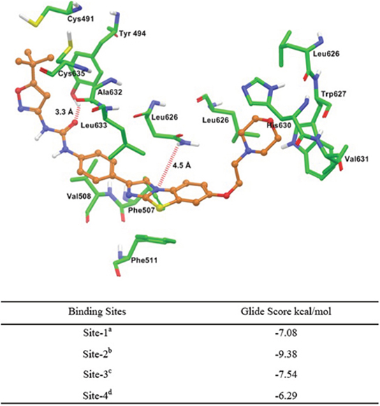 Glide predicted binding mode of quizartinib with homology modeled ABCG2.