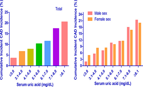 Subgroup analysis of 5-year cumulative incidence of incident CAD events in each serum uric acid level.