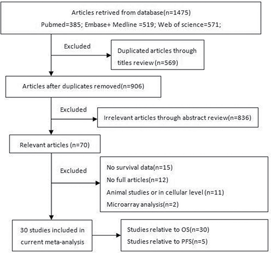 Flowchart of the literature search and selection steps.