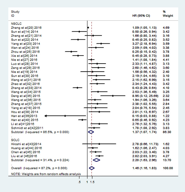 Meta-analysis of the pooled HRs for OS in different pathological types of lung cancer with high lncRNAs expression.